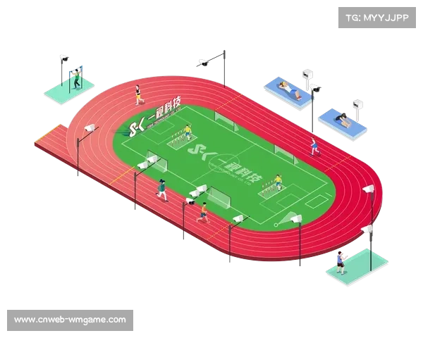 科技赋能体育场馆改造，绿色实践与智慧化升级成未来趋势